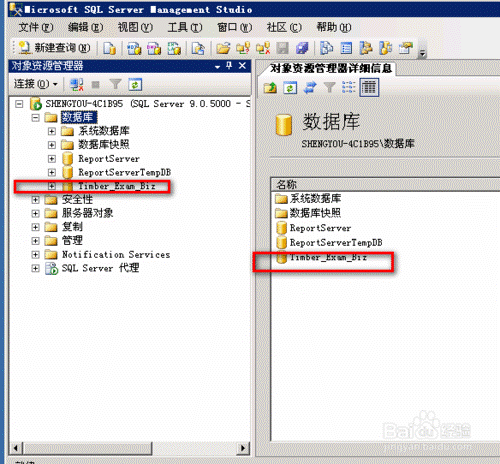 ���ʹ��SQL Server2005 ���ݿ⸽��